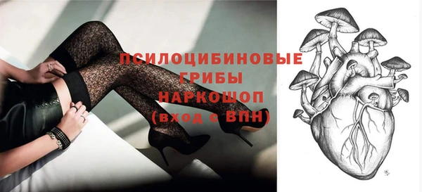 дживик Белокуриха